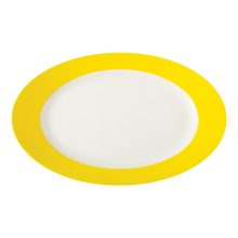 دیس بیضی 45 سانتیمتری آفتاب زرین
